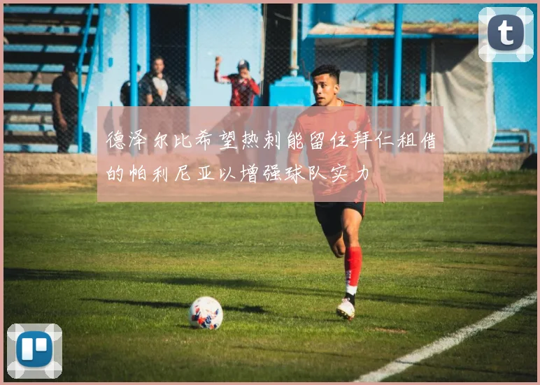 德泽尔比希望热刺能留住拜仁租借的帕利尼亚以增强球队实力